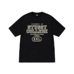 Propriété DE Stussy T Shirt